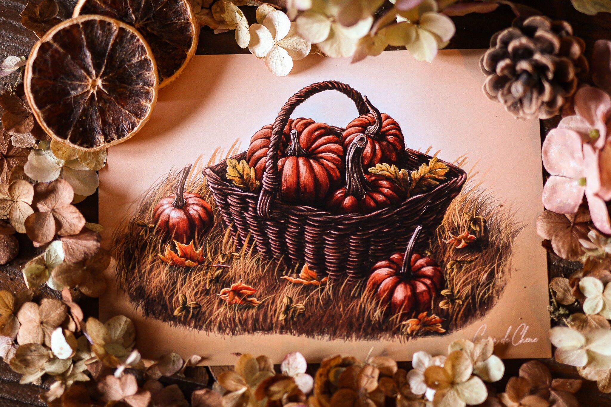 Deviazione per l&#039;orto