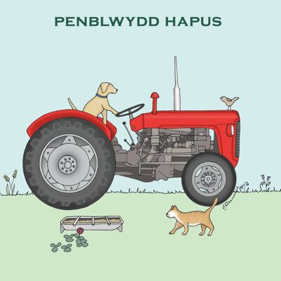 Field & Farm Range - Welsh Penblwydd Hapus - Red Tractor