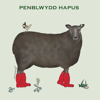Field & Farm Range - Welsh - Penblwydd Hapus - Woolly Sheep