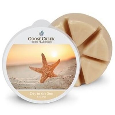Day in the Sun Goose Creek Candle® Wachsschmelze