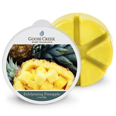 Estimulante piña Goose Creek Candle® Wax Melt
