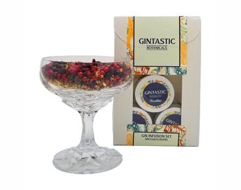 GINTASTIC Gin Botanicals Set Épices & Fleurs Blanc ED 12