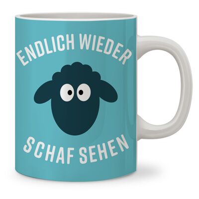 Cup, finally seeing sheep again