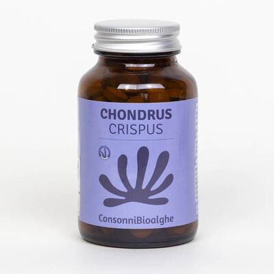 Chondrus Crispus