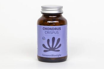Chondrus Crispus 1