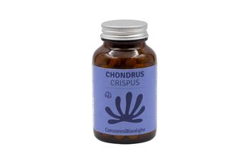 Chondrus Crispus 2