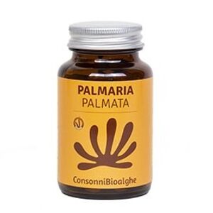 Palmaria Palmata