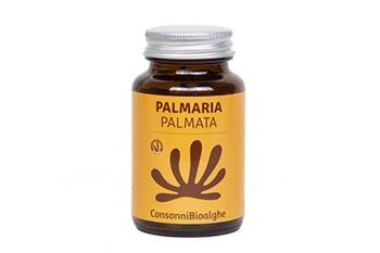 Palmaria Palmata