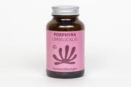 Porphyra Umbilicalis