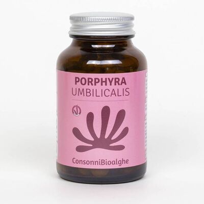 Porphyra Umbilicalis