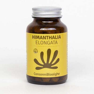 Himanthalia allongée