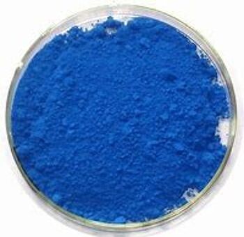 Colorant alimentaire Spiruline bleue BIO 10g 1