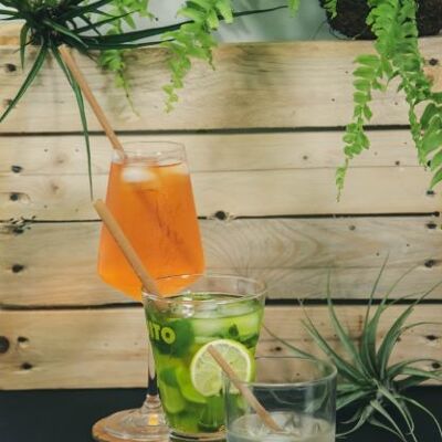 500 single-use straws