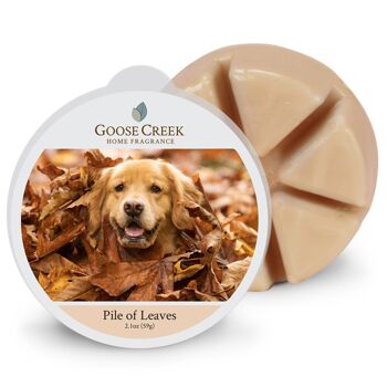 Pile de feuilles Goose Creek Candle® Cire fondue 1