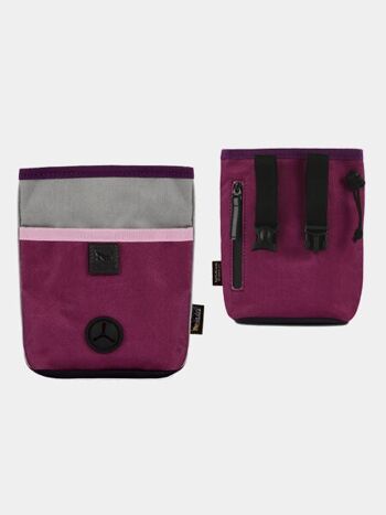Scout & About - Deluxe Training Pouch - Wildflower 1