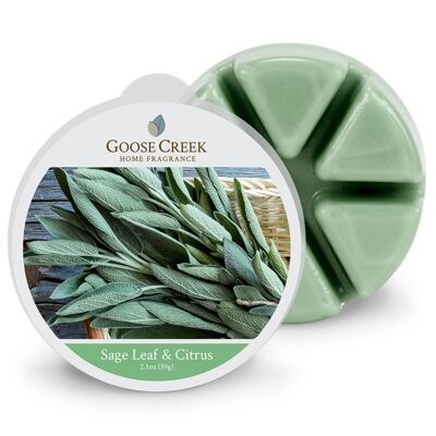 Goose Creek Candle® Wax Melt con foglie di salvia e agrumi