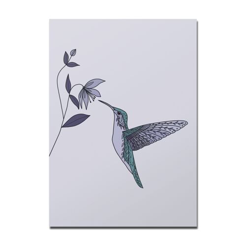 Postkarte Kolibri