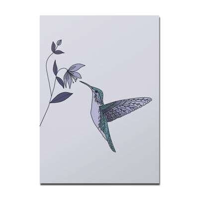 Postcard hummingbird