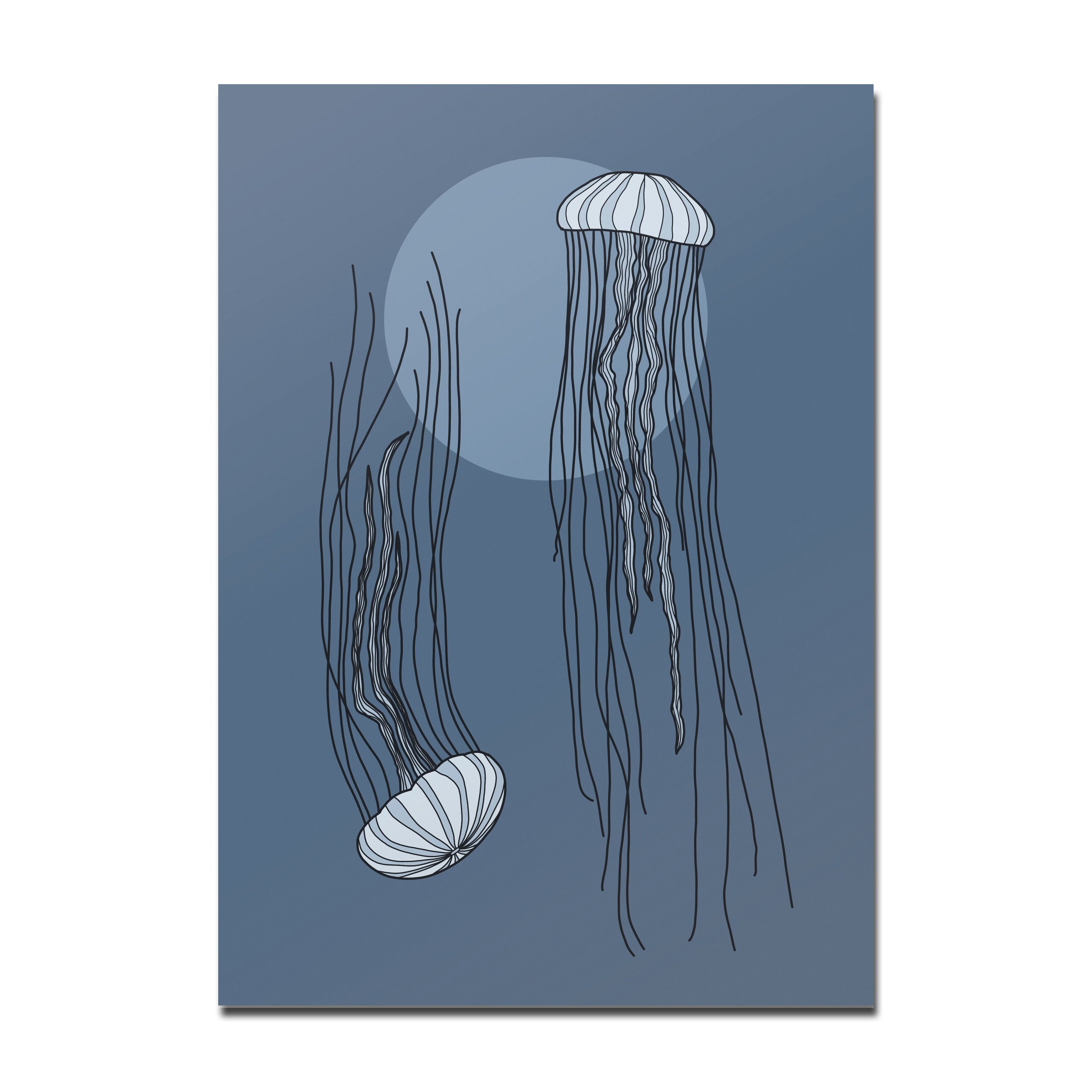 Meduse da cartolina