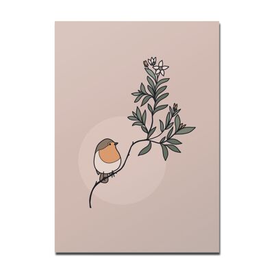 Cartolina Robin con ramo