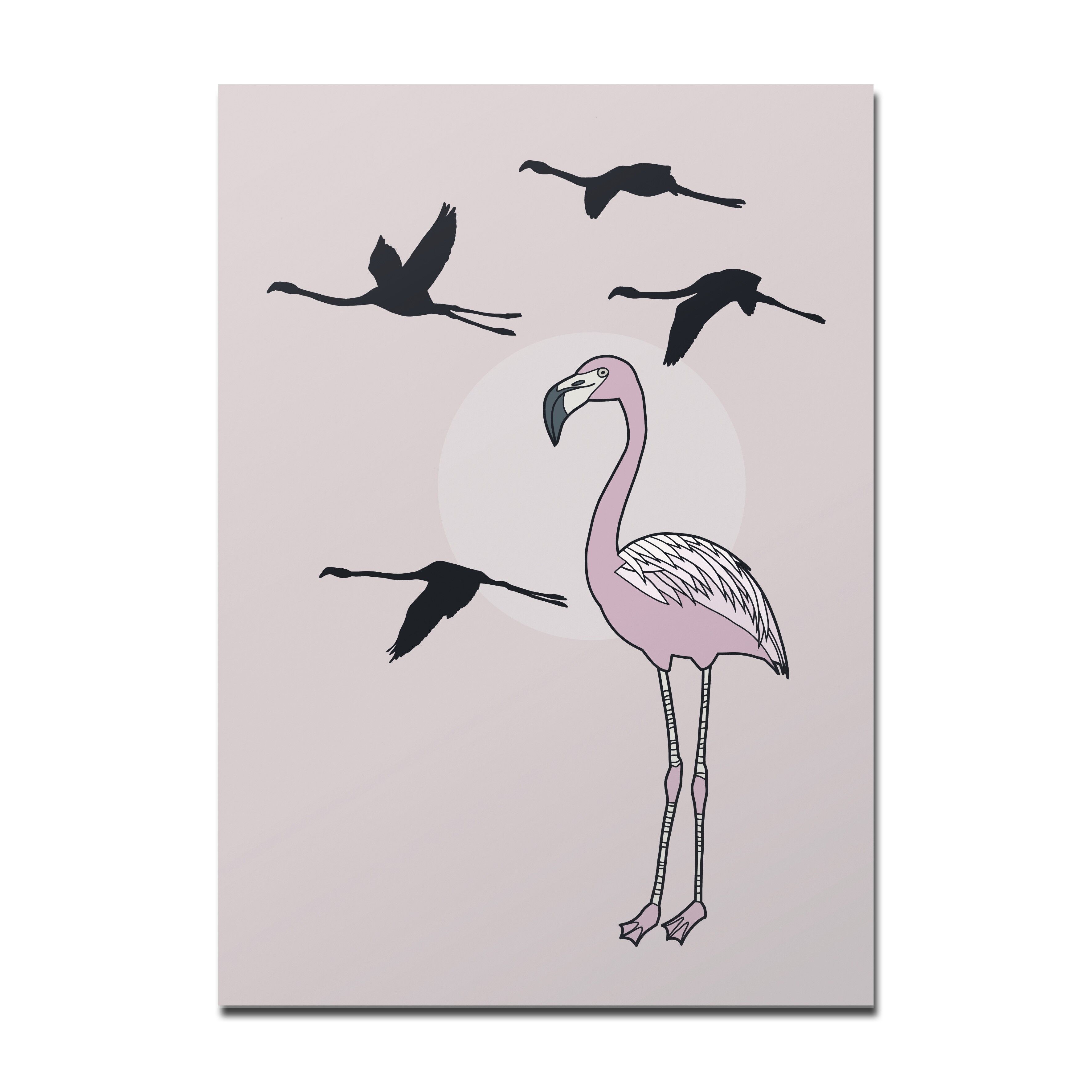 Fenicottero da cartolina