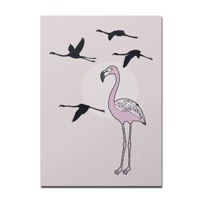 Postkarte Flamingo