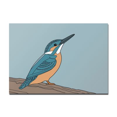 Postkarte Eisvogel