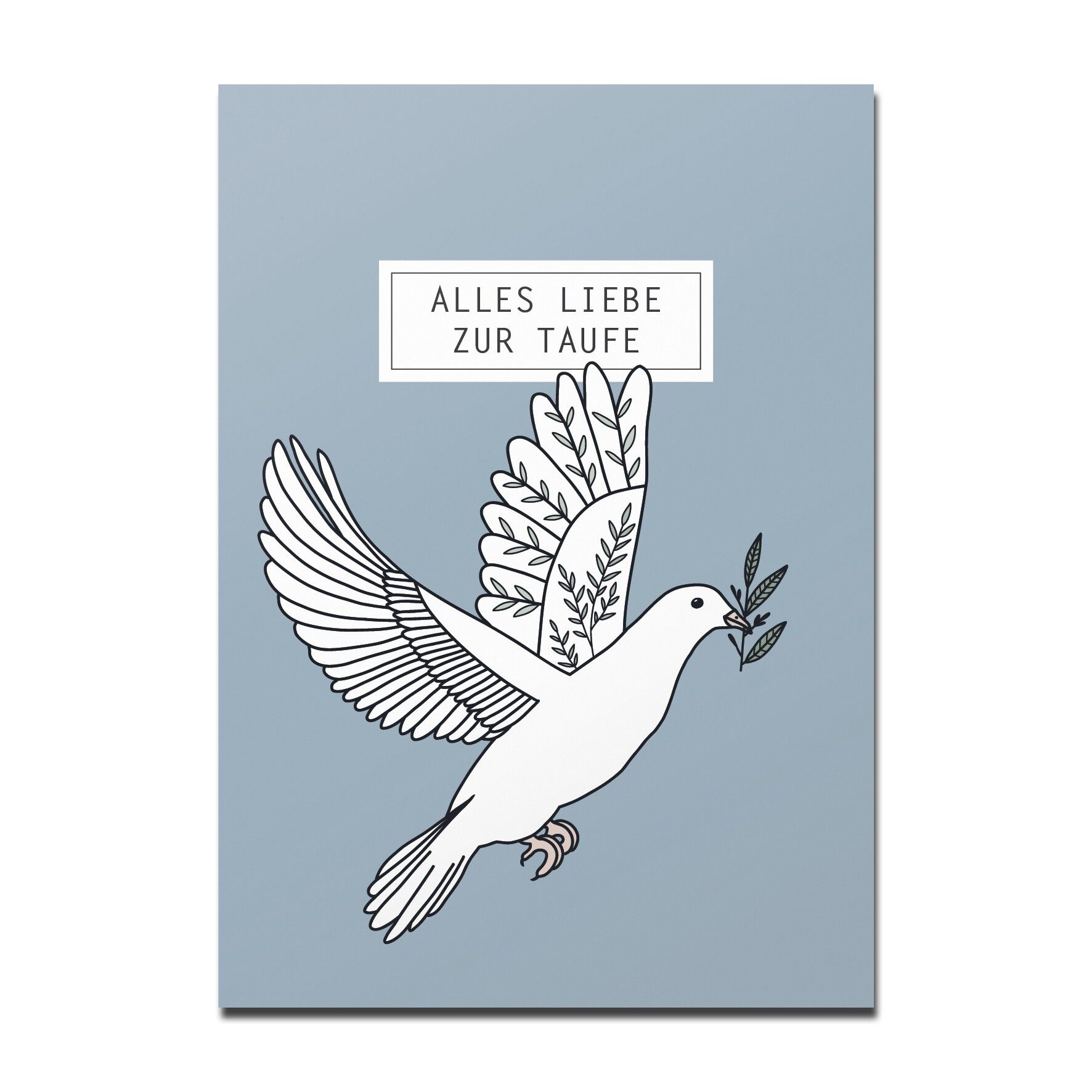 Colomba da cartolina, buon battesimo