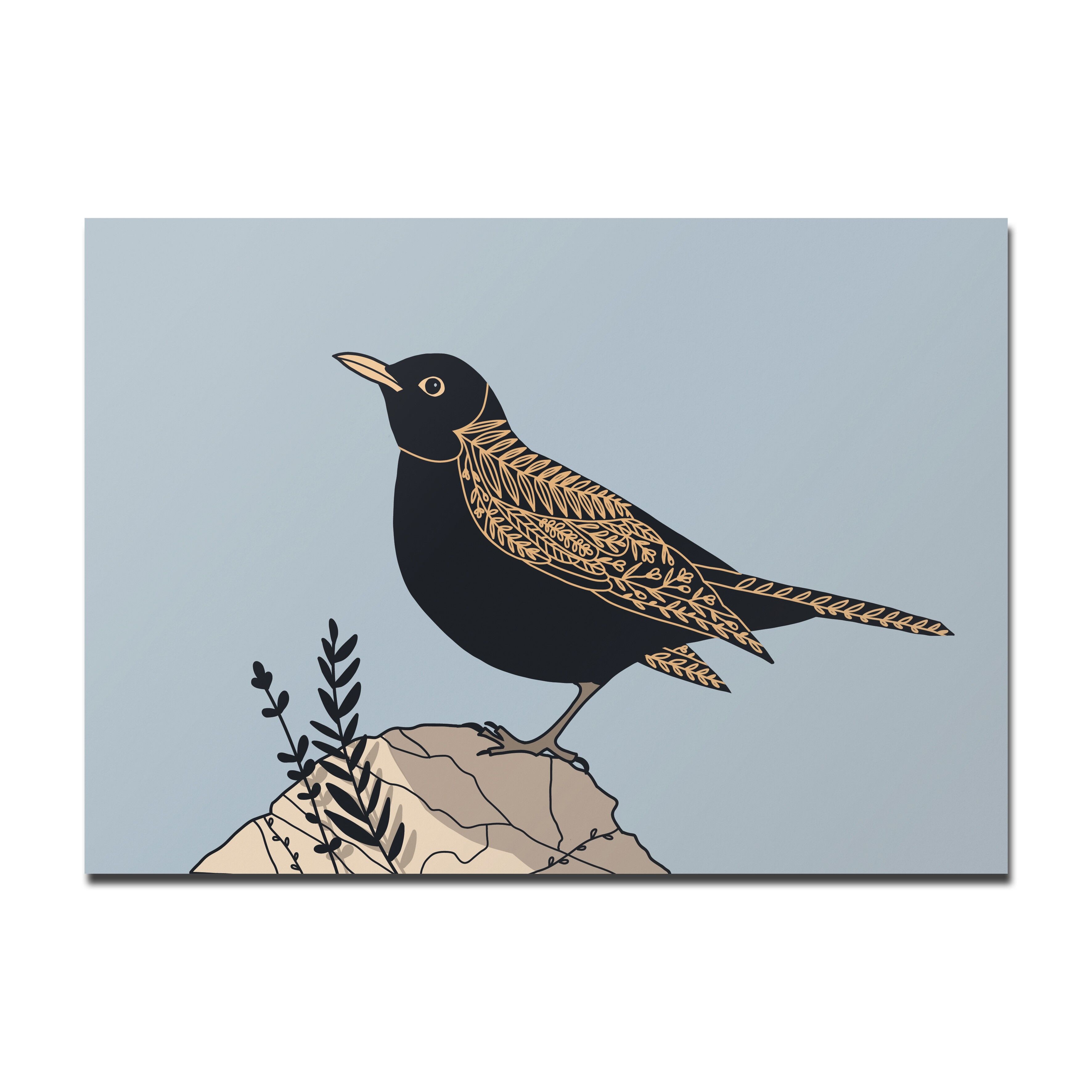 Postcard blackbird