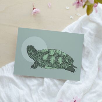 Carte postale tortue 2