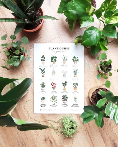 Plant Guide Print