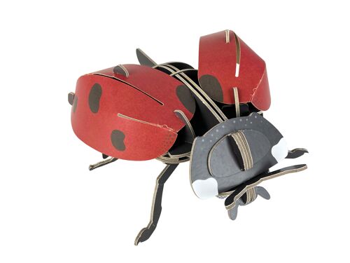 Build Your Own Mini Build - Ladybird
