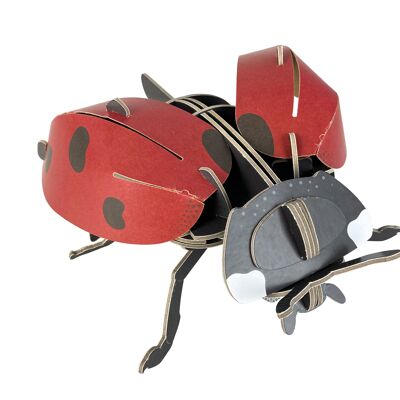 Construye tu propia miniconstrucción - Ladybird