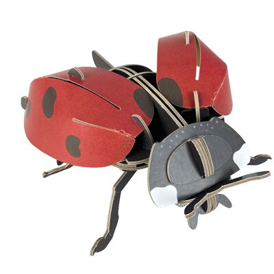 Construye tu propia miniconstrucción - Ladybird