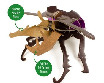 Construisez votre propre mini construction - Stag Beetle 5