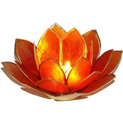 Photophore Lotus Orange