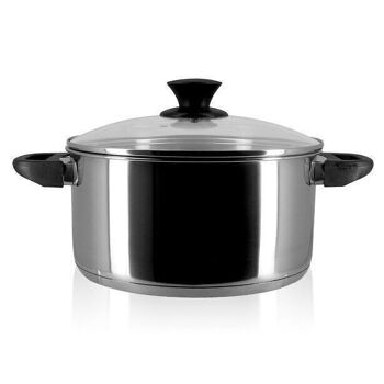 Faitout ambre 24cm
 4l2 inox induction 1