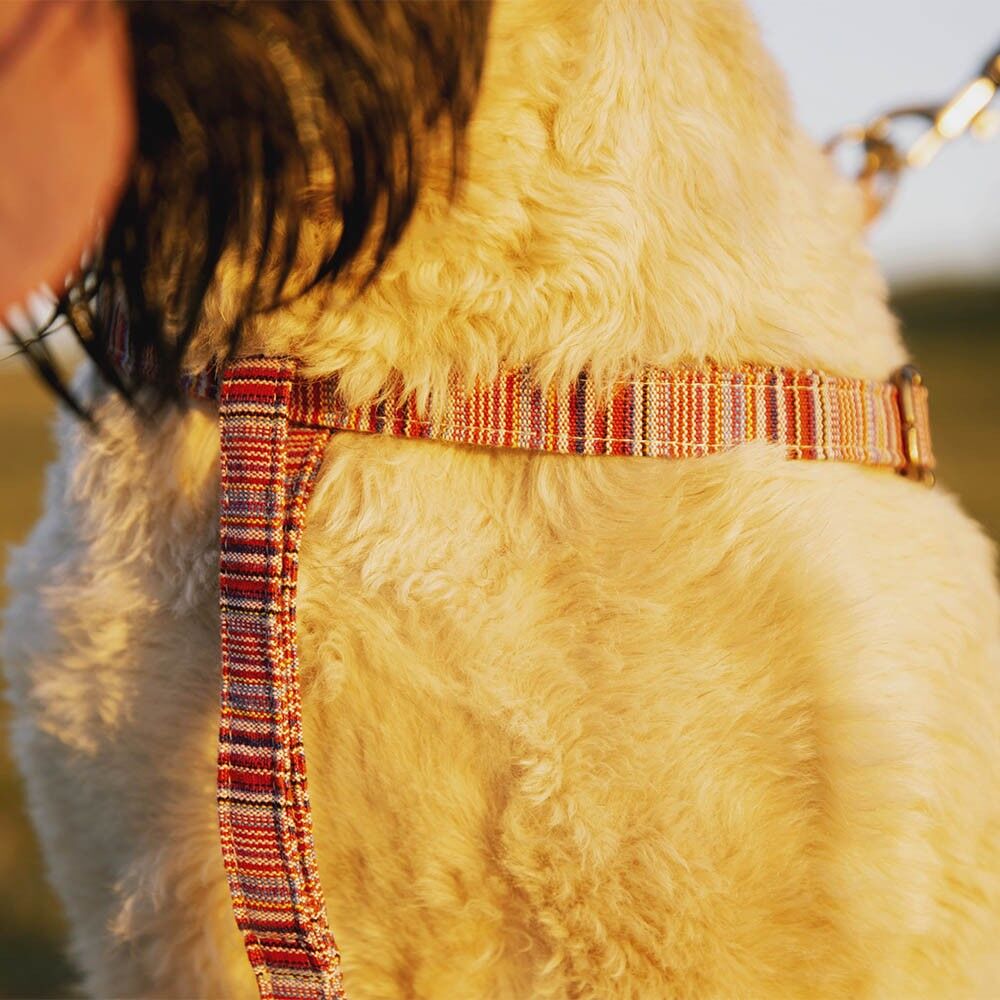 IMBRACATURA TOBY (S)