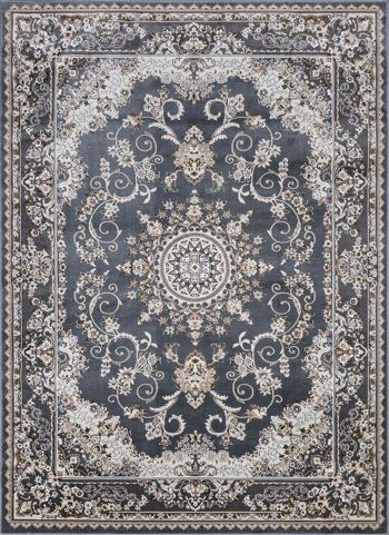 Tapis d'Orient Shiraz avec bordure gris/beige 2