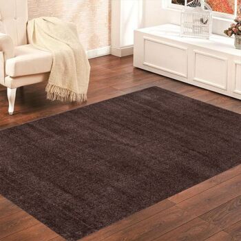 Tapis Imoza Subtil & Doux Marron 1