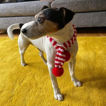 Accessoire pour chien écharpe de Noël 9