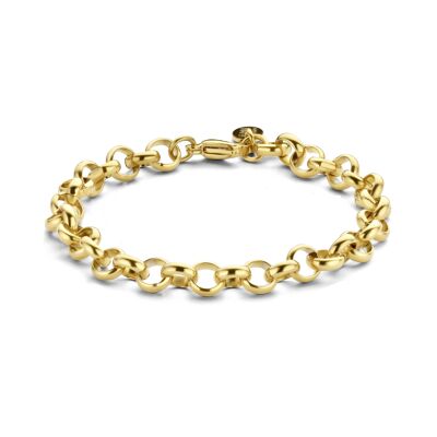 CO88 bracelet figaro link 19cm ipg