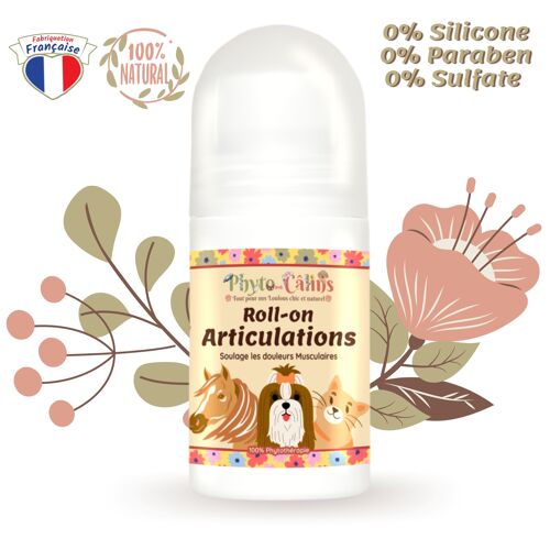 Anti-inflammatoire Roll-On, Soulage Douleur Musculaire, Pour Chien, Chat, Chevaux