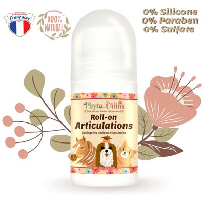 Anti-inflammatory Roll-On, Relieves Muscle Pain, For Dogs, Cats, Horses