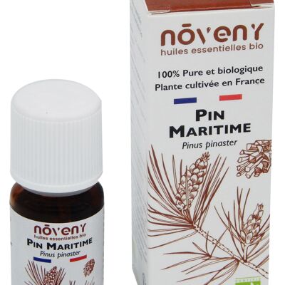 Huile essentielle de Pin Maritime bio 10mL - Plante cultivée et distillée en France
