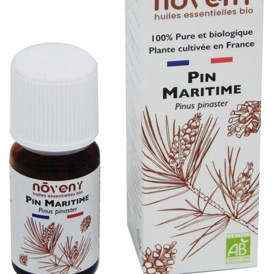 Huile essentielle de Pin Maritime bio 10mL - Plante cultivée et distillée en France