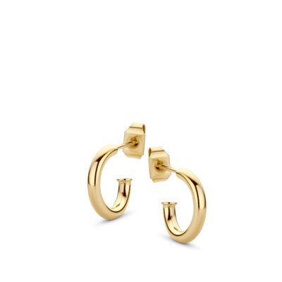 Gold ion plated stainless steel hoops earring 12mm