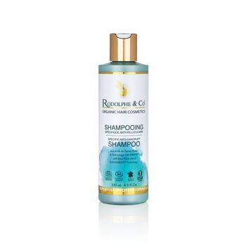 Shampooing Anti-Pelliculaire 250mL 1