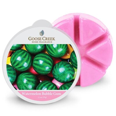 Pastèque Bubble Gum Goose Creek Candle® Cire fondue