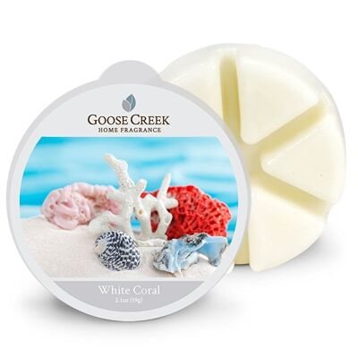 White Coral Goose Creek Candle® Waxmelt